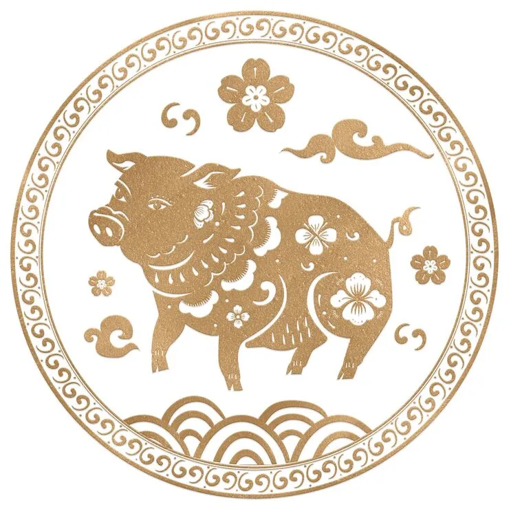 羽扇纶巾打一准确最佳生肖,解析词语精选释义